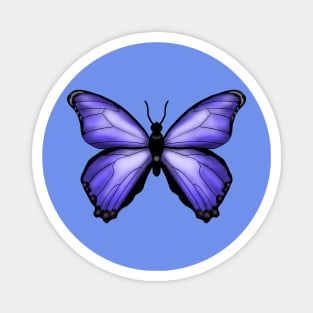 Blue Butterfly Drawing Magnet